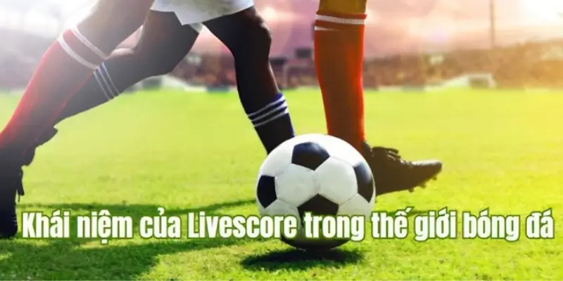 Theo dõi lịch thi đấu chuẩn xác tại livescore